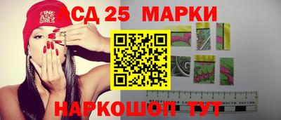 бошки Камышлов